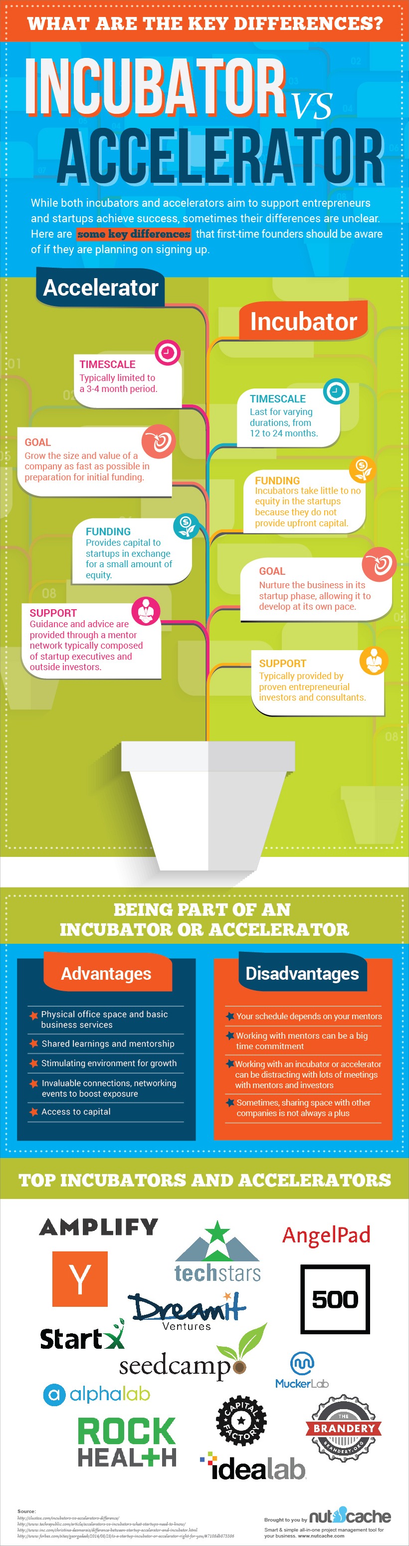 Infographic Accelerators vs Incubators: What Founders Need To Know