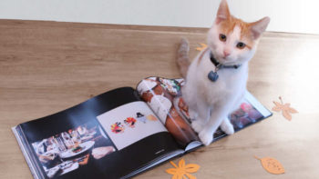 PastBook Raises 1.6 Million Euro To Scale-Up Its One-Click Photo Books Platform