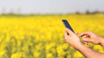 How Technology Is Opening The Doors For Success In Agriculture