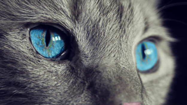 Visual Content: A Powerful Weapon For Attracting Attention