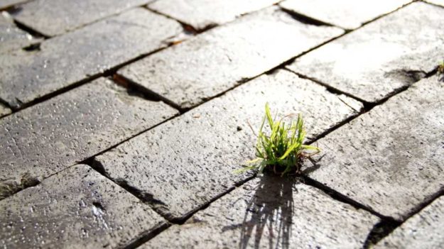 6 Green Startup Ideas For Eco-Minded Millennials