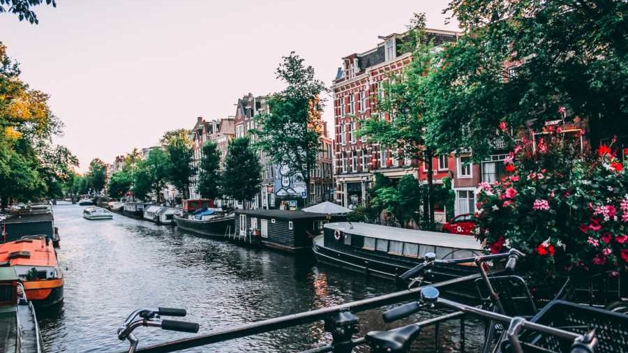 5 Reasons Why The Netherlands Is A Great Place To Set Up Your Business