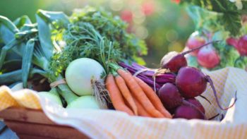 5 Principal Considerations When Starting An Organic Farming Startup