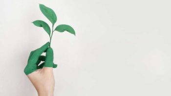 Why Being Environmentally Sustainable Is Key To Attracting Talent To Your Business