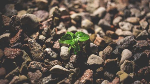 8 Essential Tips To Learn & Grow As An Entrepreneur