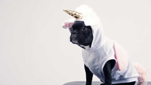 Lessons From Unicorn Startups: Joining The $1B+ Club