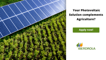 Renewables Leader Iberdrola Wants to Collaborate with Your Agrivoltaics Business