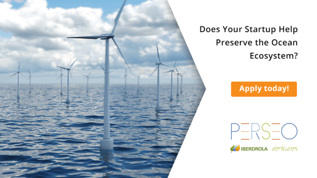 Nature-inclusive Solutions for Offshore Wind Farms | Iberdrola Global Startup Challenge